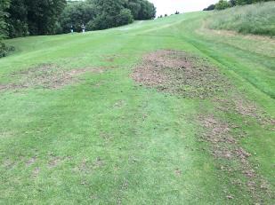 Photo Observations and Comments (continued) Figure 7: Leatherjacket and bird damage at the 3 rd tee.