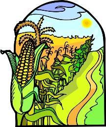 Name: Snow Day Assignment #5 Inferences Lost in Corn Country by Heather Klassen And I'm sure I've been lost in this corn maze for fifty hours.