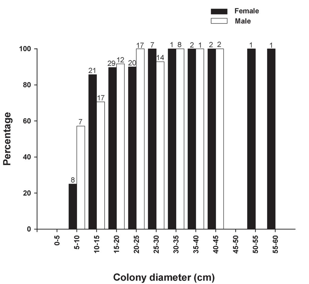 150 BULLETIN OF MARINE SCIENCE, VOL. 76, NO. 1, 2005 Figure 5. Percentage of colonies of Lobophytum pauciflorum with oocytes or sperm sacs per size class (mean colony diameter).