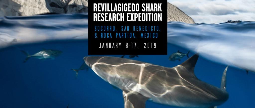SHARK RESEARCH EXPEDITION TO SOCORRO & THE REVILLAGIGEDO ISLANDS LIVEABOARD EXPEDITION - JANUARY 8-17, 2019 Get ready for the adventure of a lifetime Join us next January as we head out for a very