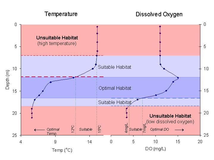 Figure 3. Temperature and dissolved oxygen profiles for Lewes Lake taken on August 23, 2010.