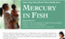 Appendix B Resources Available for Safer Fish Consumption 1. Mercury in Fish Handout (EHIB/CDHS, 3/2005) (8.