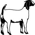 YOUTH GOATS Section 103 Superintendent: Mike Booth Supervisor: Larry Smith Weigh-In: Sat., Sept 15th 11:00AM - 12:00PM in Barn 1 Judging: Sat.