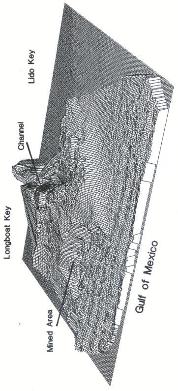 Figure 2.14 Three-dimensional view of New Pass, FL lidar bathymetry, December 1994. North is to the left, and the area shown is 1.5 km cross-shore by 3.