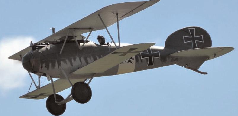 There were two excellent representations of the beautiful Albatros D Va. The first was Rich Feroldi's Top Gun winning model from the mid 1990s.