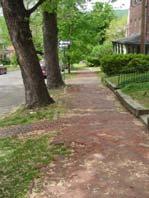 Repair Joint Deflection Buckling brick and concrete sidewalks caused by tree roots