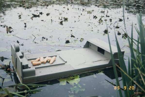 The success of the campaign was monitored using bait and camera rafts.