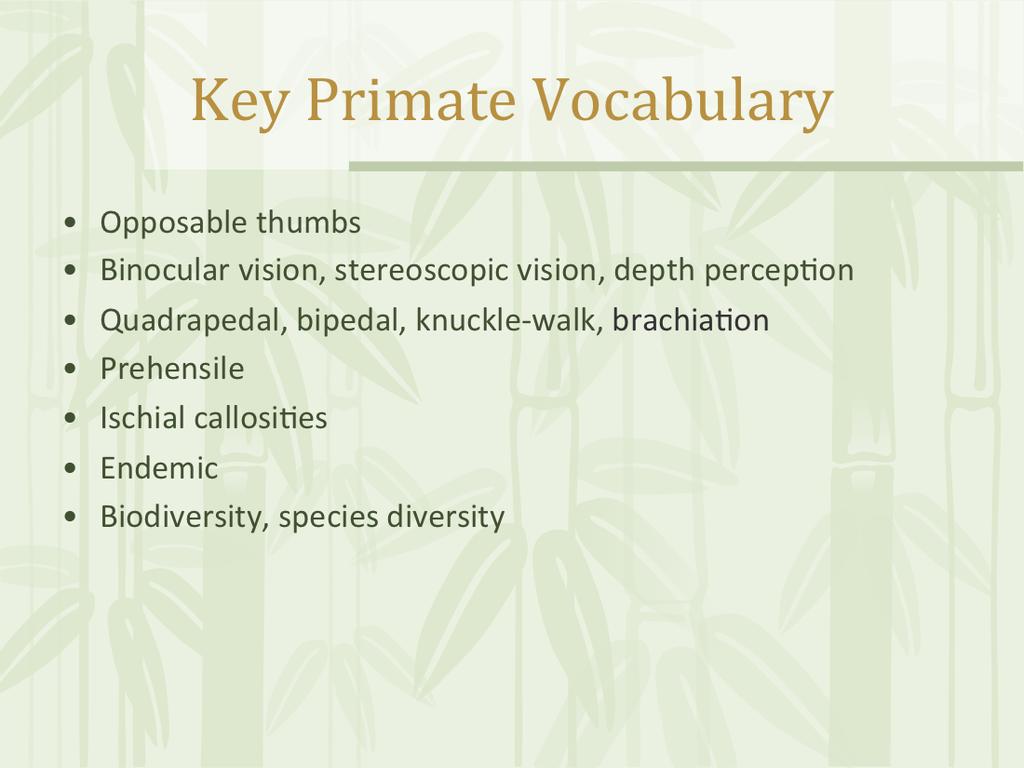 Definitions: Binocular vision: vision in which both eyes are used together; this gives a wider field of view. Biodiversity: the degree of variation of life.