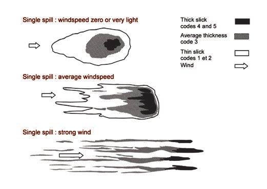 Topography of oil slicks For relatively fresh slicks, (from a few hours to a few days) the shape and the thickness distribution (small, average, large) essentially depend on the wind which spreads