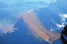 4 - When the wave goes through the treated slick, oil is placed in