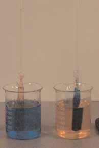 Practical - Some 1 M sucrose solution was coloured orange/red, and some deionised water was coloured blue.