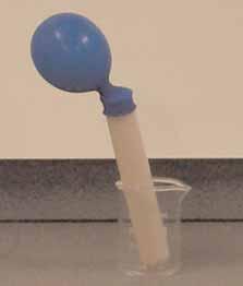 The boiling tube had a mixture of yeast and sugar solution added, after which a pre-stretched balloon was attached tightly to the top. The tube was then placed in a beaker-waterbath at 40 o C.