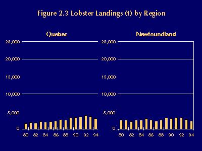 Chapter 2: Background Landings in the northeast USA followed a similar pattern of sustained increase from the mid-1970s to the early 1990s. Record landings were recorded in Maine in 1994.