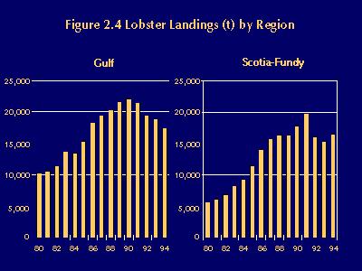 Lobster Newfoundland, with a gradual increase to a maximum in the early 1990s, while along the east coast of Cape Breton and the eastern shore of Nova Scotia landings have declined significantly in