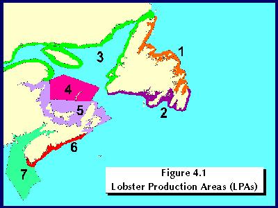 Lobster temperatures are generally higher and these can persist for a longer period than off the eastern coast. The August 20m mean temperature off the east coast of the Avalon Peninsula is 7.5oC.
