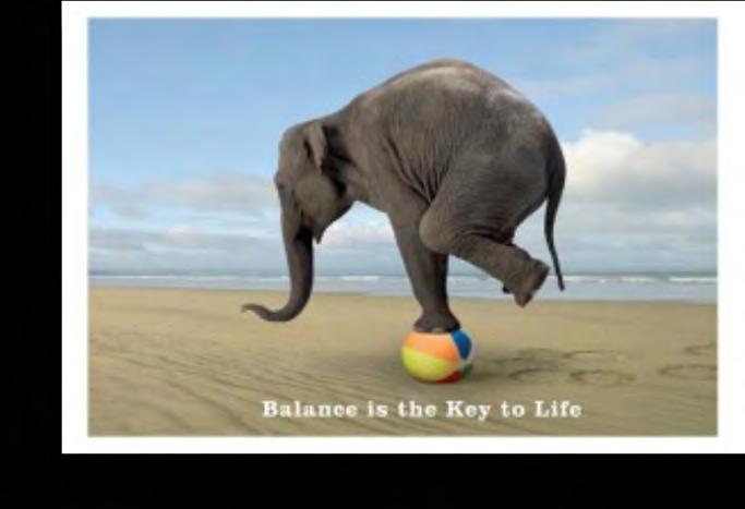 Safety/Injury Balance/Imbalance-Falls Safety/Injury Balance/Imbalance-Falls