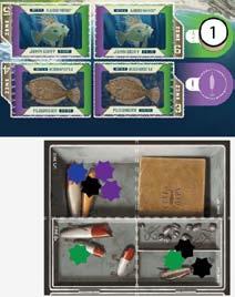 Then refill the empty Zone on the game board with the fish on top of the deck at that Location.