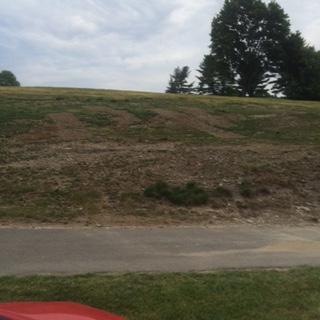 Areas of newly seeded Fescue: The area between number one green and number three rough has had the forest of trees remove creating a potentially dramatic area of fescue above and to the left of the