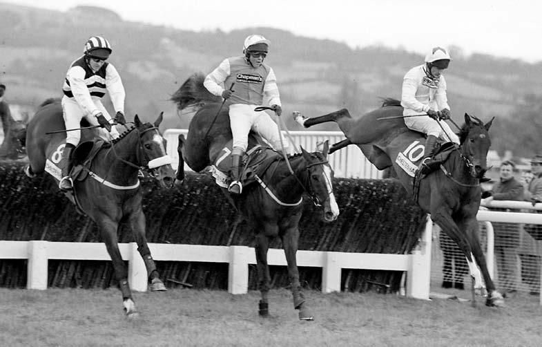 Irish Review IRISH REVIEW Since the Coral Cup was added to the Cheltenham Festival schedule in 1993, Irish-trained horses have never won fewer than three races at the meeting.