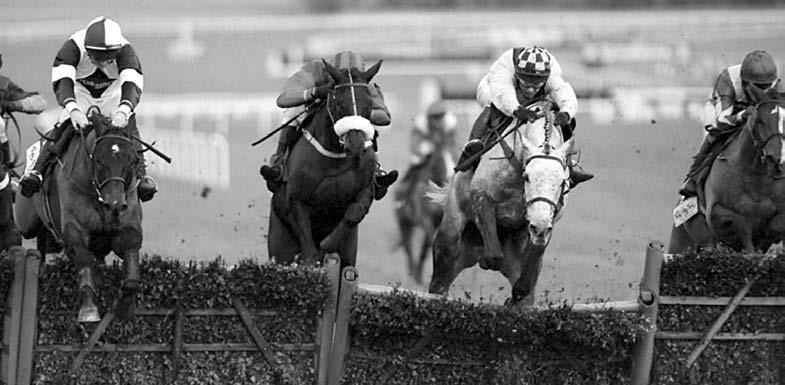 Champion Hurdle Preview A race-rusty Rooster Booster (grey) loses out in a sprint for the Bula, which is won by outsider Rigmarole (right) Rooster Booster was conceding 13 lb and upwards to his