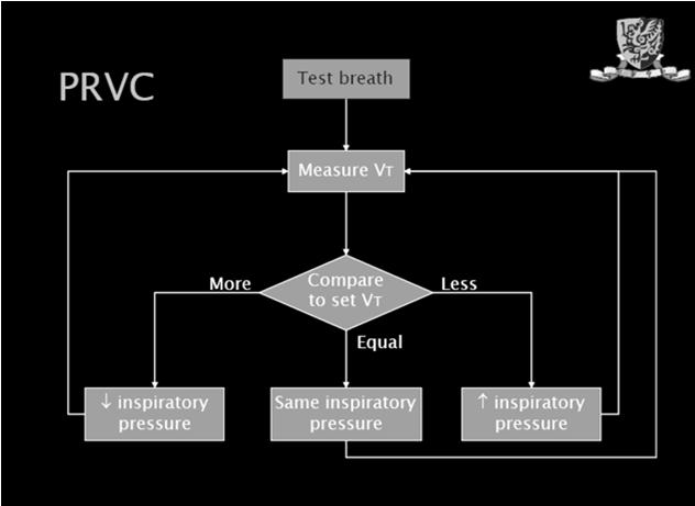 Limitations of Volume - Controlled Ventilation in Newborns Vent V.