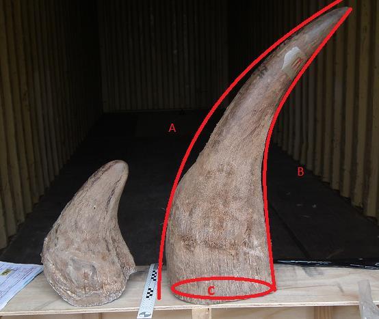 Part C Record (case, file) number (as provided in Part A) Note: Please complete a separate copy of this page for each whole raw rhinoceros horn seized.