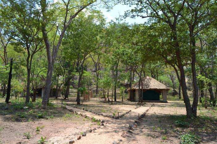 s prime Miombo woodland hunting areas
