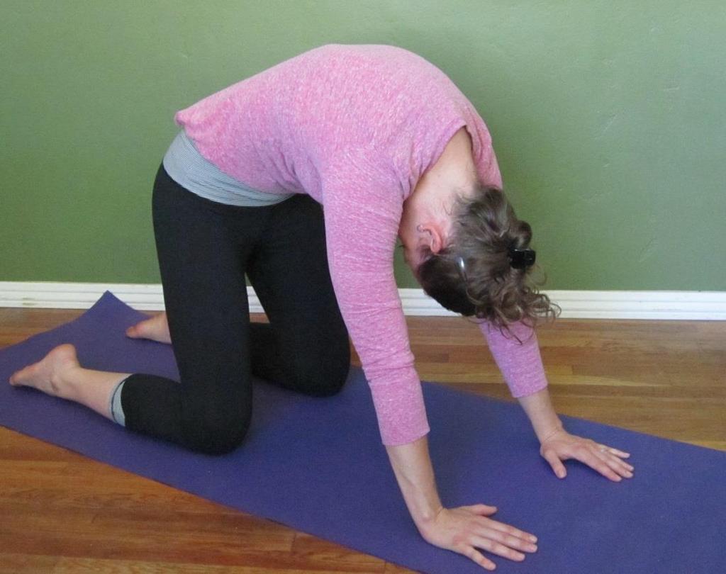 P a g e 16 Cat Pose: Begin on all fours (hands and knees). Hands should be shoulder-width apart and directly under your armpits, fingers spread out wide for balance.