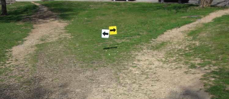 FLAG MARKINGS - As needed, ribbon markings will be replaced by flag markings. SIGN MARKINGS - All Endurance Challenge racers will follow the white directional signage arrows on-course.