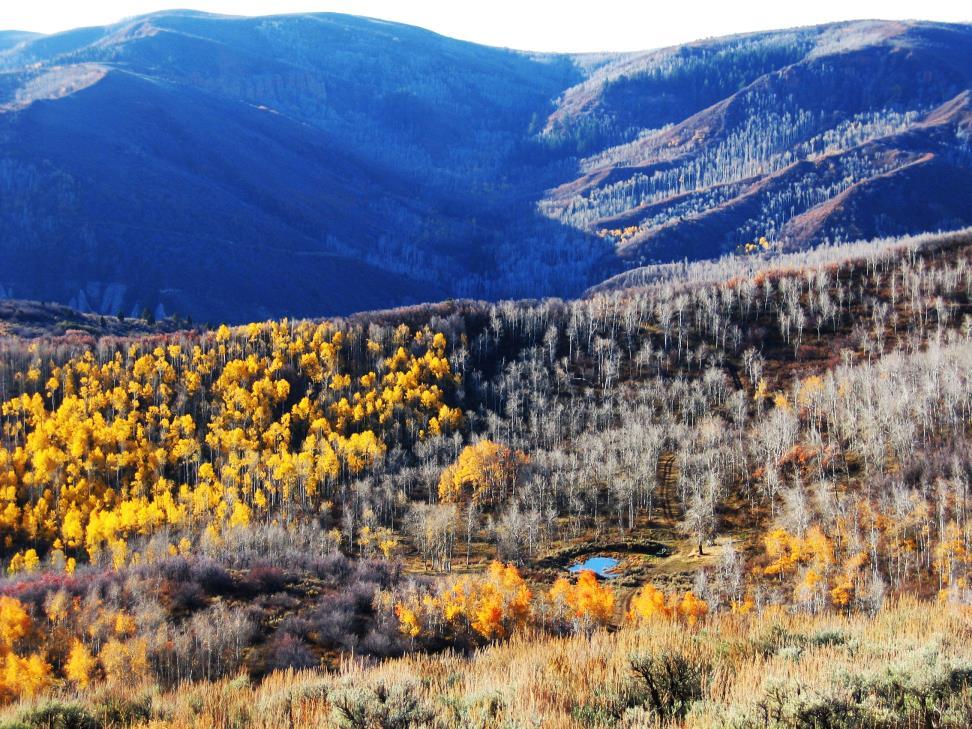 QUICK FACTS Located in upper Lost Creek, Morgan County, Utah 4,413 Acres of mountain terrain ranging from 6,200 to 8,000 feet in elevation, and situated in the heart of Utah s most coveted area for