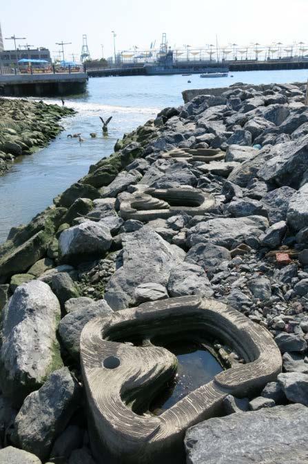Pier 4 Pilot - Brooklyn Bridge Park A total of seven ECOncrete Tide Pools were integrated into the newly