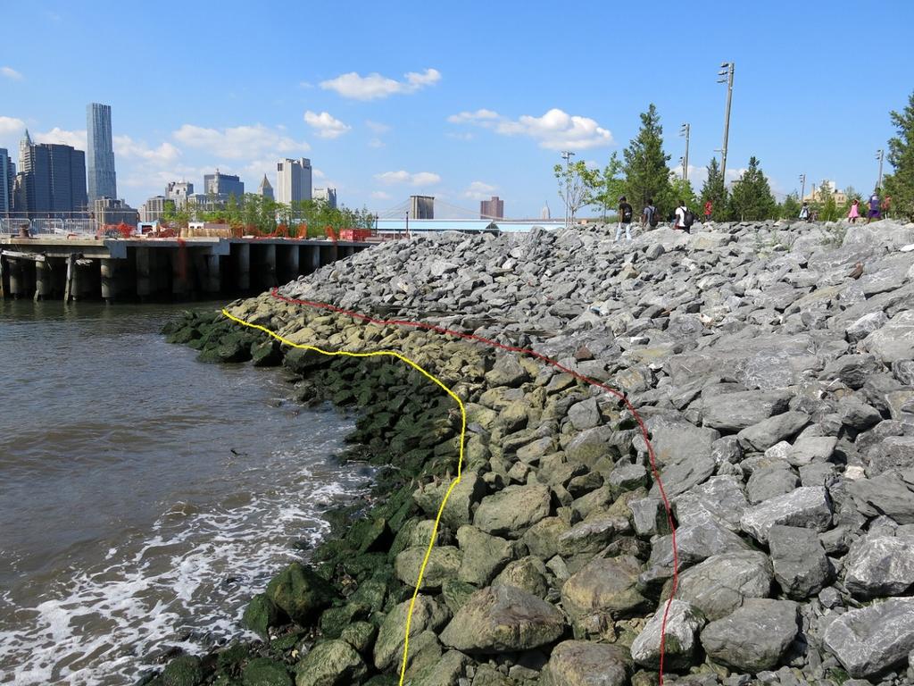 Figure 6. Pier 4 tide pools, Brooklyn Bridge Park, NY. Red line marks the upper algae line. Yellow line marks the upper frequently wet tidal area Arrows mark tide pools. Literature Cited: 1. Firth, L.