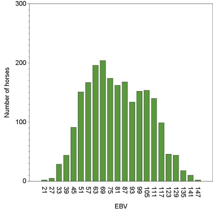 Distribution of EBVs for stallions: Show jumping age, model I max.