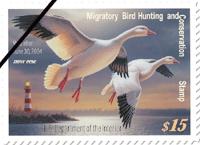 The National Wildlife Refuge System Cont d The Migratory Bird Hunting Stamp Act enacted in 1934 assured a steady source of funding for acquisition of habitat under the Conservation Act.