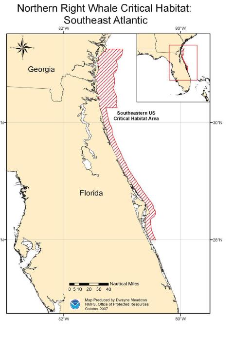 encompasses waters between 31 deg.15 N (approximately located at the mouth of the Altamaha River, GA) and 30 deg.