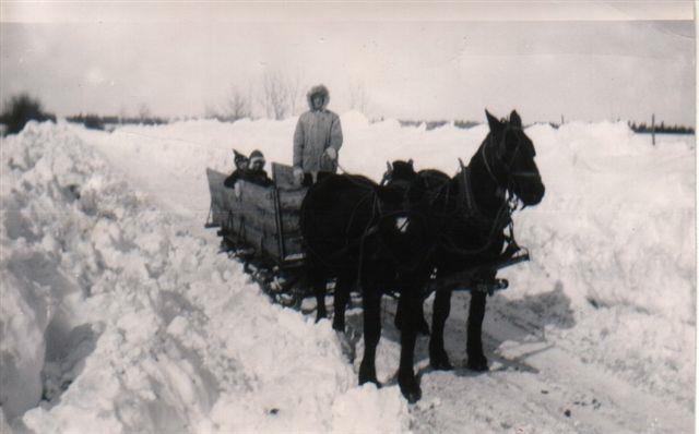 Later horses replaced the oxen and this was a lot faster. In the winter time dog trains were used by many. The first automobile purchased arrived in the area in 1915.