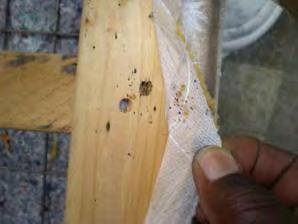 seams and rips in material Use alcohol or baby wipes to rub suspected bed bug droppings - if the spots dissolve into a reddish brown color, this could indicate bed bug droppings and