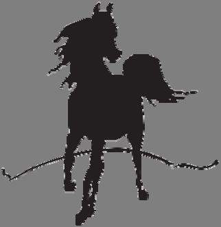 Sponsorship Form Diablo Arabian Horse Association Fall Fling Horse Show September 28-30, 2018 Regular Classes $15 or 2 for