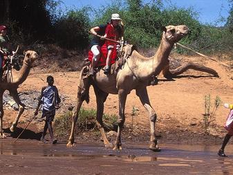 You will be collected from Nanyuki Airstrip and driven to Karisia Walking Safaris.