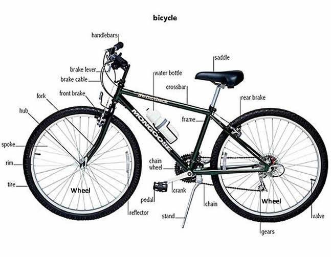 Bicycle parts Learning English vocabulary lesson Examples of sentences using bike parts A few examples of how to use some of the bike parts in a sentence. are used for steering.