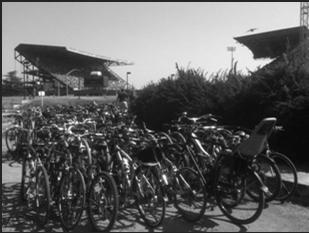 Bicycle Parking at the University of Washington APBP Webinar Series: Institutional and Campus Bicycle Parking Programs UW Transportation