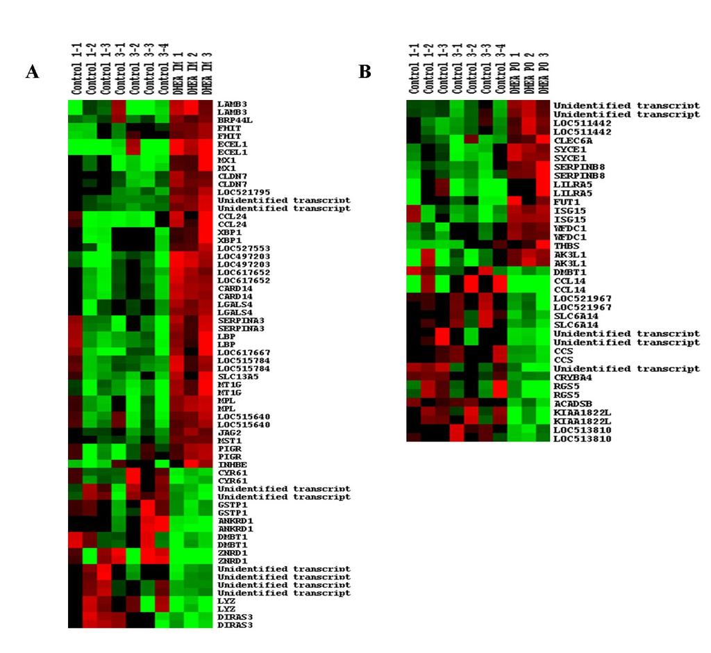 Feasibility of a liver transcriptomics approach control group, respectively. Only one of these genes (DMBT) was found differentially expressed (down-regulated) in IM as well as PO treated animals.