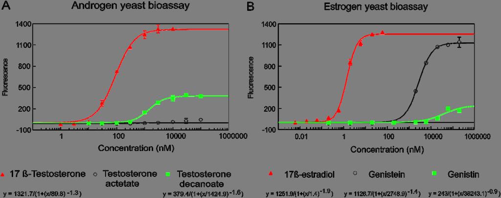 Bioassay based screening of steroid derivatives estrogen bioassay (Figure 2B).