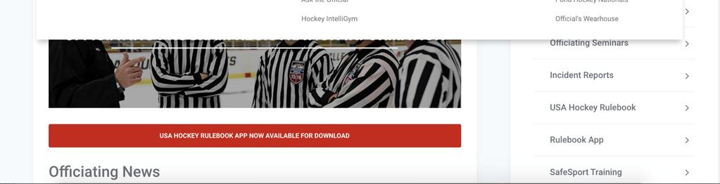 Login to USA Hockey System USAHockey.