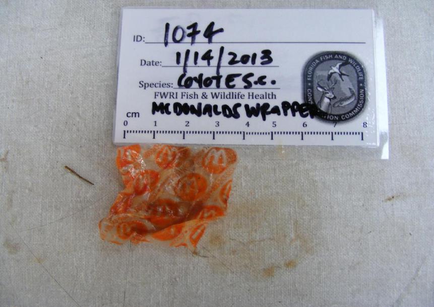 McDonald s butter wrapper found in stomach of coyote 1074