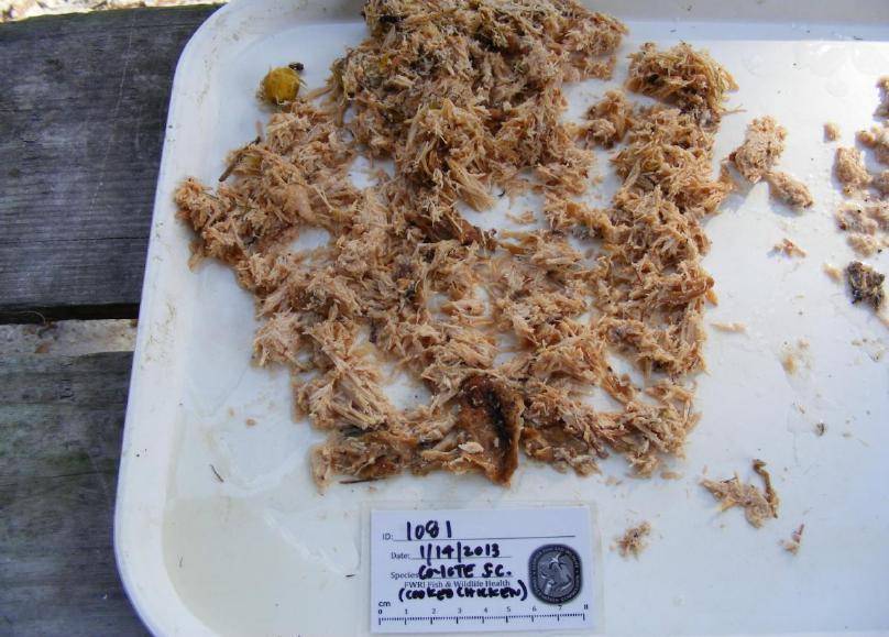 on 10/12/2011 (USDA) Cooked chicken found in