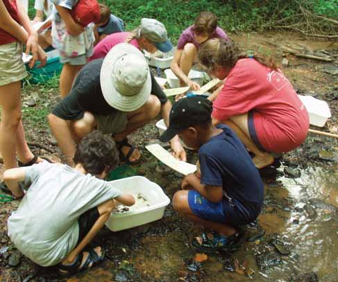 Identify macroinvertebrates you find. Take a good look into the white bin in which you have collected your specimens. Patience helps!