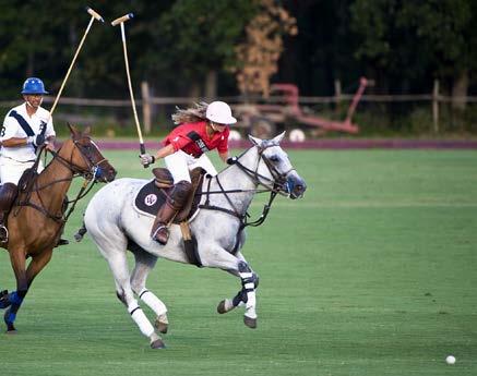 Polo Club: Prestonwood has 2 world class polo fields, 2 polo arenas, half-mile track and stabling for over 100 horses.