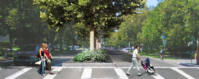 STREETSCAPE TREES AND MEDIAN