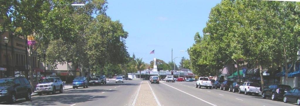 STREETSCAPE TREES AND MEDIAN - TOWN